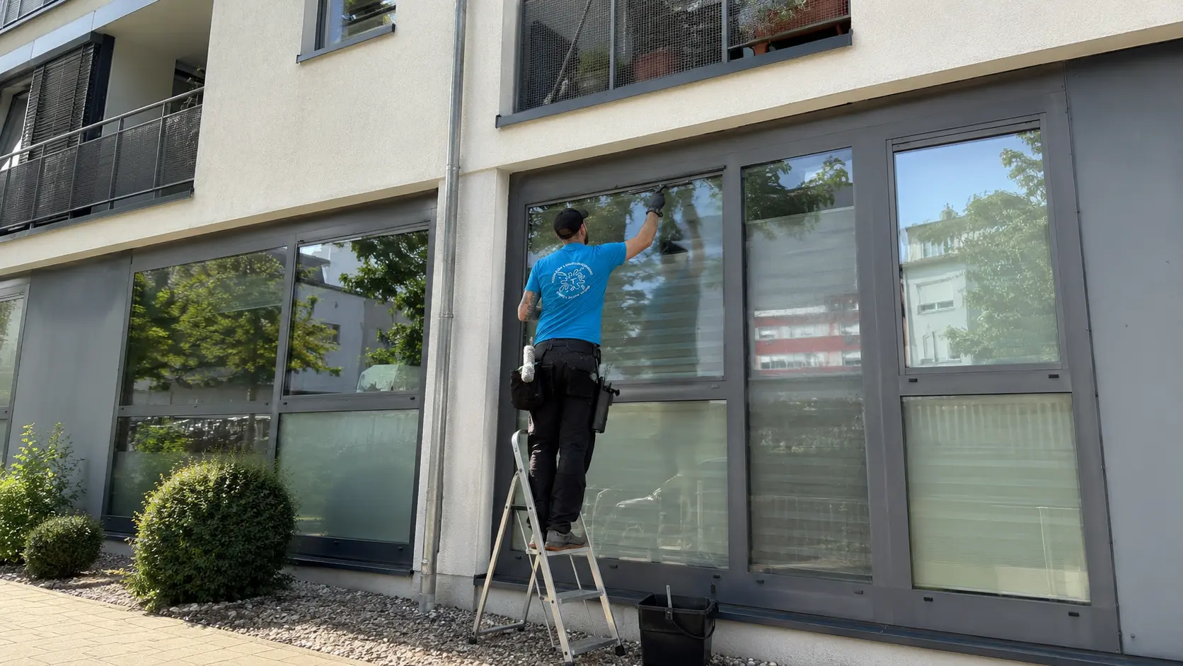 Mitarbeiter reinigt eine Fensterfront auf einer Leiter in Bamberg